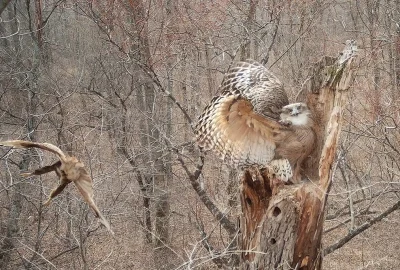 Видеосъемки
